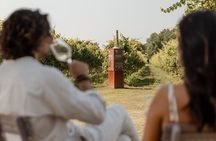 Wine and Breadstick Tasting