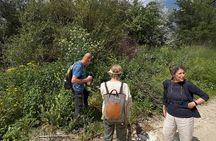 Foraging and Gastronomy Experience 