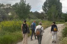 Foraging and Gastronomy Experience 