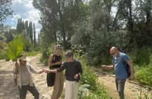 Foraging and Gastronomy Experience 