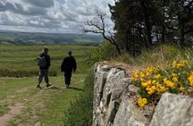 Highlights of Hadrian’s Wall with Local Guide