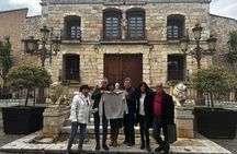 Alicante; Winery visit with two Oil and Fondillón Museums