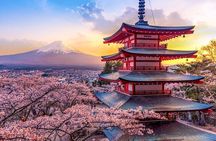 Mount Fuji Private Tour With English Guide Fully Customizable