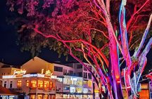 Malacca Night Tour with River Cruise & Trishaw Ride from KL (SIC)