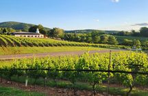 Wine and Culinary Delight Private Tour