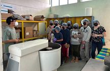 History of "Mole" and tour of the "Doña Elena" factory