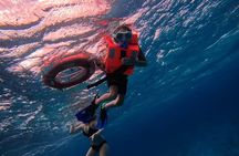 Chankanaab Park entrance ticket with snorkeling and buffet included