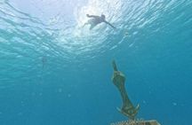 Chankanaab Park entrance ticket with snorkeling and buffet included