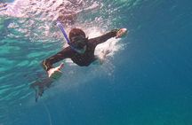 Chankanaab Park entrance ticket with snorkeling and buffet included