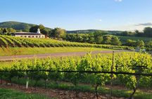 Private Charlottesville Area Wine Tour