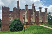 Private Charlottesville Area Wine Tour