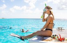 Snorkel Trip on a Catamaran Yacht All Inclusive Experience