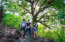 Hiking La Tourelle Mountain in Mauritius