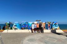 Private Coastal Tour from La Peñita to Bahía de Banderas