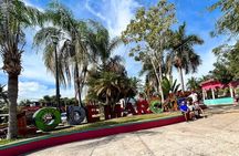 Private Coastal Tour from La Peñita to Bahía de Banderas