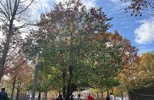 Lower Manhattan: From Financial Power to Enduring Hope