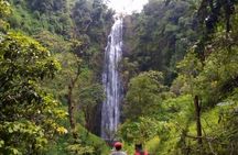 Day trip to materuni waterfalls and coffee tour from Moshi