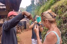 Day trip to materuni waterfalls and coffee tour from Moshi