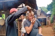 Day trip to materuni waterfalls and coffee tour from Moshi