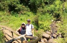 Day trip to materuni waterfalls and coffee tour from Moshi