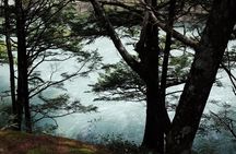 Kamikochi Private Summer Escape: Meet Wildlife in Pristine Nature