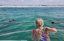 Private Swim with Dolphins And Snorkeling Tour