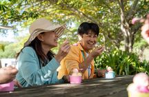 Small Group Waterfall Wetlands+ Skyrail All Inclusive from Cairns