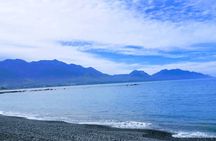  Kaikoura Day Trip including Whale Watch from Christchurch