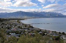  Kaikoura Day Trip including Whale Watch from Christchurch