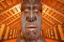 Waitangi Treaty Grounds Tour from Auckland