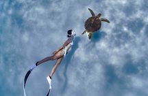 Private snorkeling tour Ishigaki island