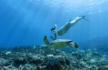 Private snorkeling tour Ishigaki island