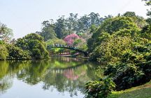 Shared tour of the tourist attractions of São Paulo
