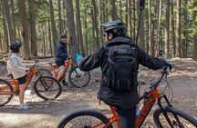 Mountain Breeze Tour - Mountain E Bike - Whistler Marmot Activity