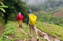 Knuckles Mountain Range Trekking Tour From Kandy