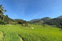 Knuckles Mountain Range Trekking Tour From Kandy