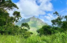 North Nature Adventour: Snorkeling, Hiking & Secret Waterfall