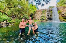 Wild North Mauritius Tour: Snorkeling, Hiking & Secret Waterfall