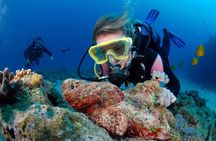  Diving and Sea Diving Baptism 