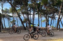 Brač Island EMountain BikeTour Art History and Olive Oil Tasting