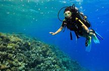 Full-Day Professional Wreck Diving Experience with SCUBA–Hurghada