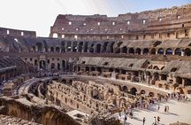 Colosseum Arena Small Group Tour with Palatine Hill & Forum