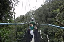 1 Day Canopy Walk Tour to Nyungwe NP