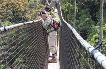 1 Day Canopy Walk Tour to Nyungwe NP