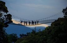 1 Day Canopy Walk Tour to Nyungwe NP