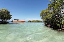 Boat Tour with Lunch in the Water in Guadeloupe Lagoon 