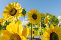 All-Garden Pass for the New York Botanical Garden