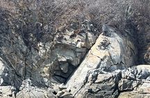 Bays experience with visit to Chachacual beach