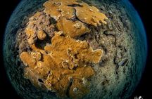 Experience Scuba 