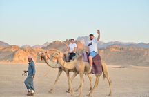Marsa Alam: Desert Safari: 4x4, Quad, Buggy, Camel & Stargazing